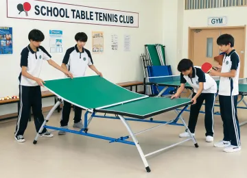 School table tennis